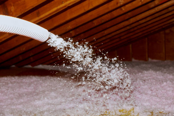 Best Insulation Installation Services in Little Elm, TX
