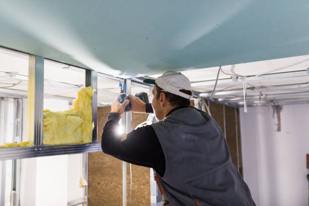 Little Elm, TX Insulation Contractor Pros