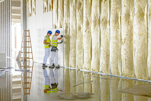 Best Energy Efficiency Solutions in Little Elm, TX